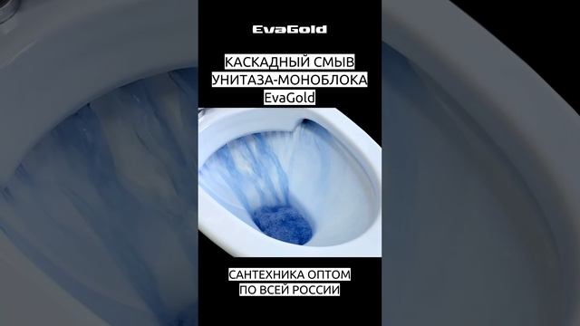 КАСКАДНЫЙ СМЫВ В УНИТАЗЕ-МОНОБЛОКЕ EvaGold смотреть онлайн