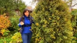 Марина Патрина @zacvetet об ионитных субстратах ЦИОН