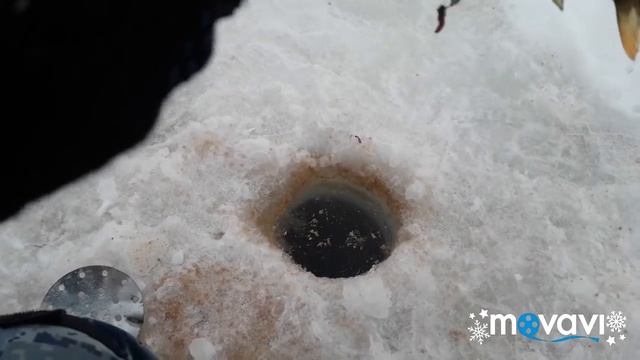 ЗИМНЯЯ РЫБАЛКА/Жор В ГЛУХОЗИМЬЕ/deep-sea fishing смотреть онлайн