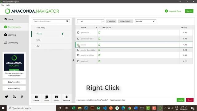 How to install Pandas in Anaconda on Windows 10 [Update 2021] смотреть онлайн