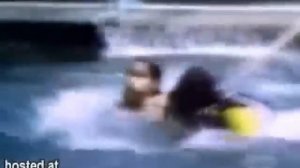 Касатки нападают на людей. Orca atack