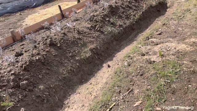 Süper fikir bu yöntemle her gün tonlarca su depolayabiliyorum hem de tank olmadan yağmur hendeği смотреть онлайн
