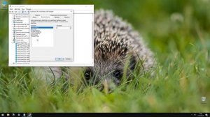 Включаем на ноутбуке WiFi на частоте 5 ГГц