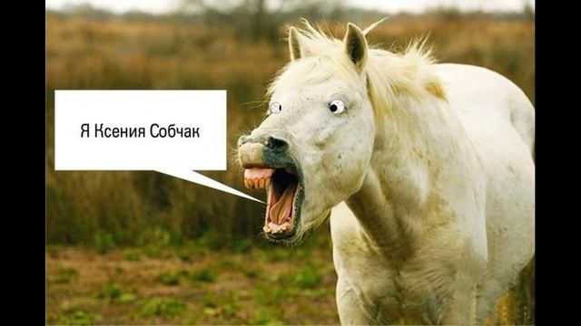 Как зовут тебя лошадь страшная | Как разговаривать с коллекторами смотреть онлайн