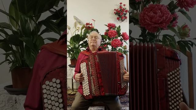 Мне не дано тебя забыть. смотреть онлайн