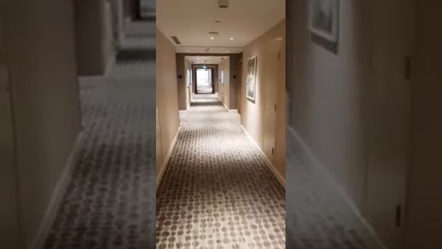 فندق هيلتون جاردن مول الامارات ،، Hilton Garden Inn Mall Of Emerates смотреть онлайн