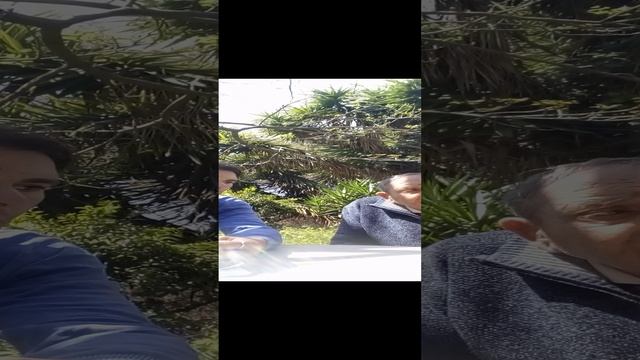 Presentazione Progetto Politico PaceItalia.org