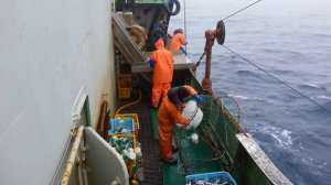 Краболов Весь процес добычи краба