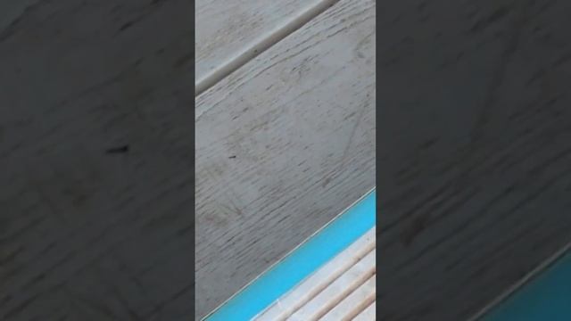 Rain storms sweep trash into the river here in Royersford #kayaking смотреть онлайн