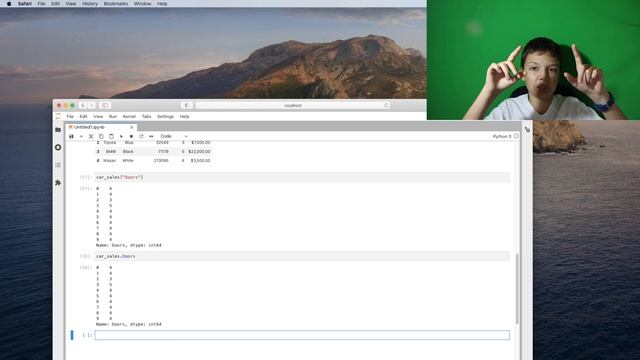Основы библиотеки Pandas для Python3 смотреть онлайн