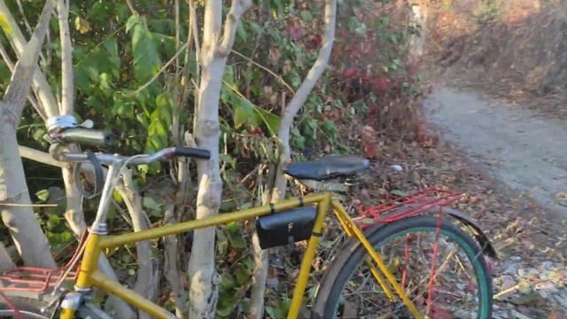 РЫБАЧИМ на САМОДЕЛЬНУЮ ЛОВУШКУ для РЫБЫ!? смотреть онлайн