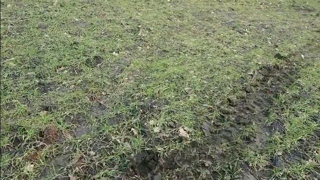 Успели в последний день зимы, разбросать удобрение. смотреть онлайн