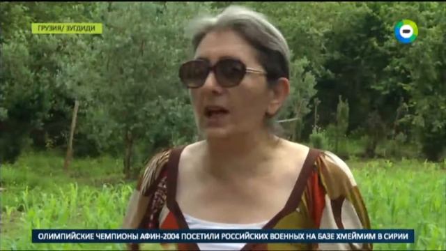 Полчища клопов уничтожили почти весь урожай ореха в Грузии смотреть онлайн