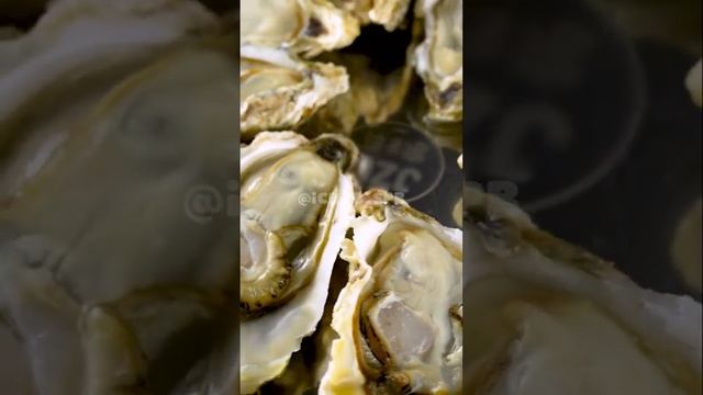 Устрицы живые Устрицы Хасанские Доставка устриц по Санкт-Петербургу смотреть онлайн