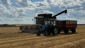 Уборка Ячменя 2024. Работают Акрос-550.