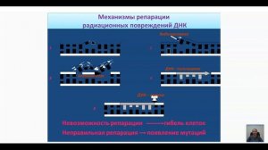 Биологическое действие ионизирующего излучения.mp4