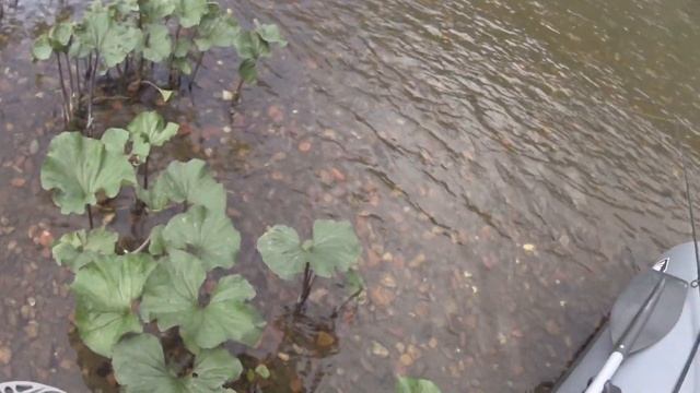 Рыбалка на реке МАНА Порезал лодку смотреть онлайн