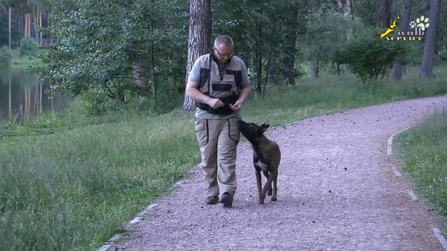 Команда рядом, метод наведения кормом смотреть онлайн