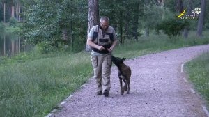 Команда рядом, метод наведения кормом