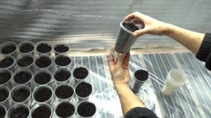 КЛИМАТ-КОНТРОЛЬ-БОКС ДЛЯ РАССАДЫ. СЕКРЕТЫ ПРОФЕССИОНАЛЬНОГО ВЫРАЩИВАНИЯ РАССАДЫ