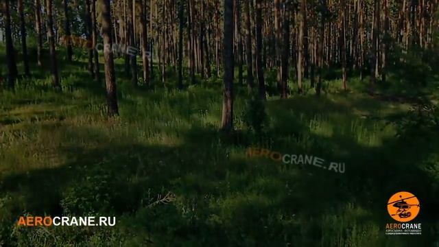 Берегите лес смотреть онлайн