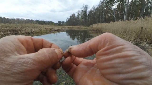 Рыбалка в проводку на поплавочную удочку смотреть онлайн