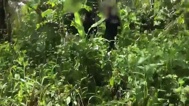 Persecución a alta velocidad por mar y aire a una lancha llena de drogas cerca de Costa Rica смотреть онлайн