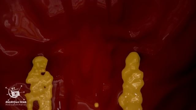 How is urine produced in the body?KIDNEY, NEPHRON, BLADDER FUNCTION|Anatomy of the Urinary System смотреть онлайн