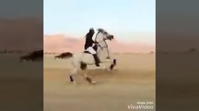 Самый быстрый лошадь в мире смотреть онлайн