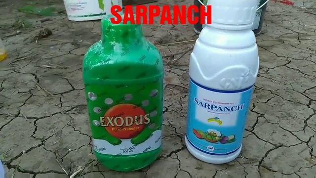 EXODUS (PASURA) + SARPANCH(profenofos 40%, cypermethrin 4%) || Insecticide With Proof смотреть онлайн
