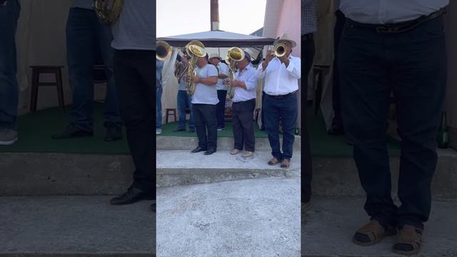 Fanfara de la valea mare смотреть онлайн