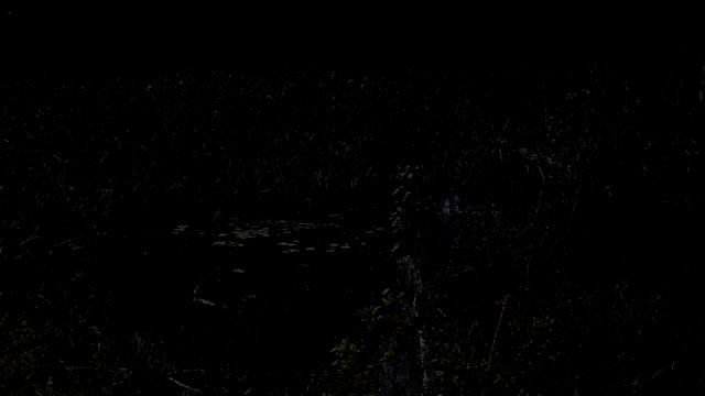 Nightly Frog (Peepers) Chorus - 10 Hours of Dark Screen | Natural Sound смотреть онлайн