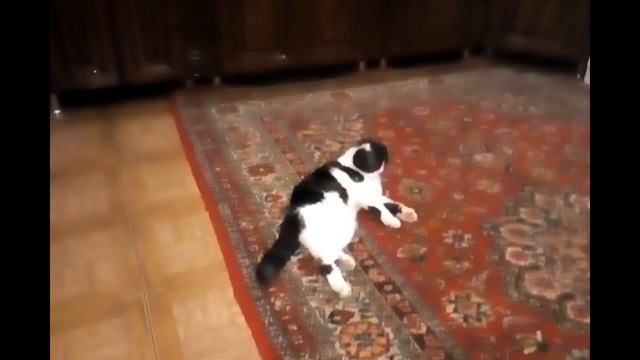 Потеря лучшего друга смотреть онлайн