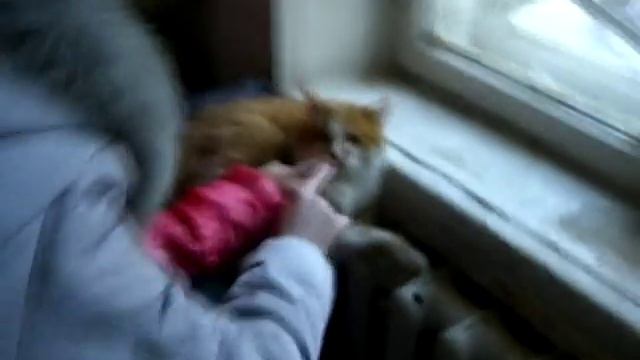 Зоопарк. За закрытой дверью :) смотреть онлайн
