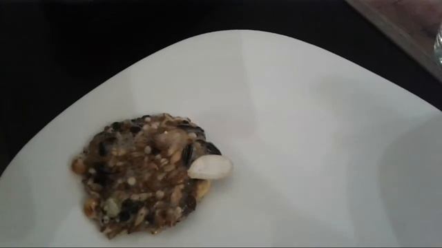 Как сделать вкусные и полезные печеньки для грызунов?? смотреть онлайн
