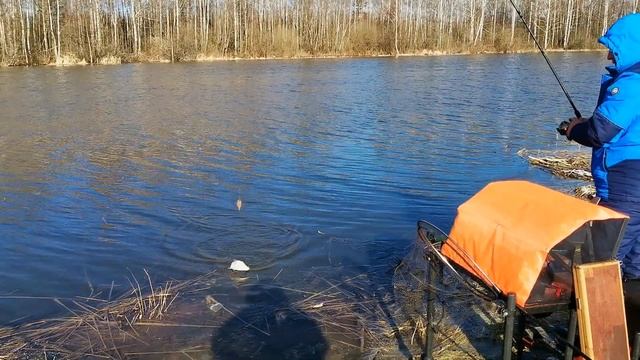 Рыбалка на канале в Лунево-2. Неделю спустя. смотреть онлайн