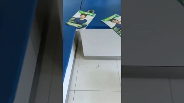 Право на самоопределение. 18+ Присутствует ненормативная лексика. смотреть онлайн