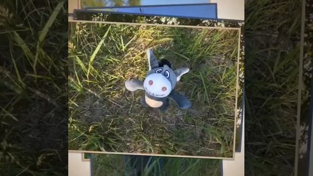 Voice Toys - Купить мягкие игрушки в Красноярске смотреть онлайн