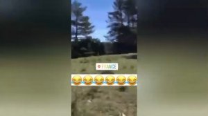 Негр ругается русским матом ??