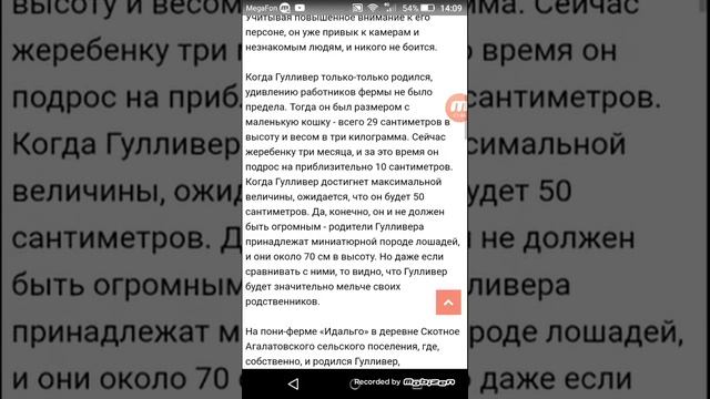 Самая маленькая пони в мире Гулливер!! смотреть онлайн