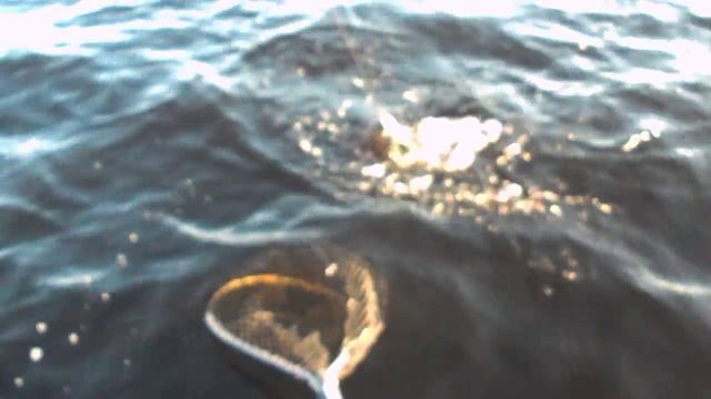 Рыбалка, Выгозеро. смотреть онлайн