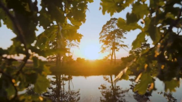 The Relaxing Piano: Relaxing Music, Meditation Music Deep Sleeping Music, Stress Relief смотреть онлайн