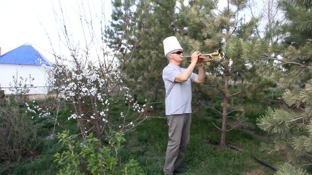 Клипхох Гимн Гагаузии Gagauzia