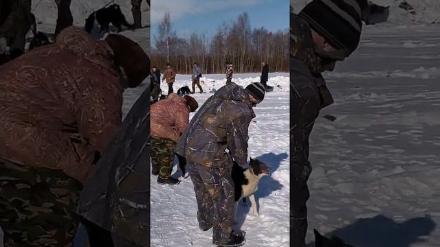 20 августа 2021 г. смотреть онлайн