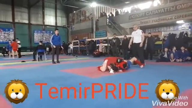 Чемпионат Карагандинской области по боевому самбо смотреть онлайн