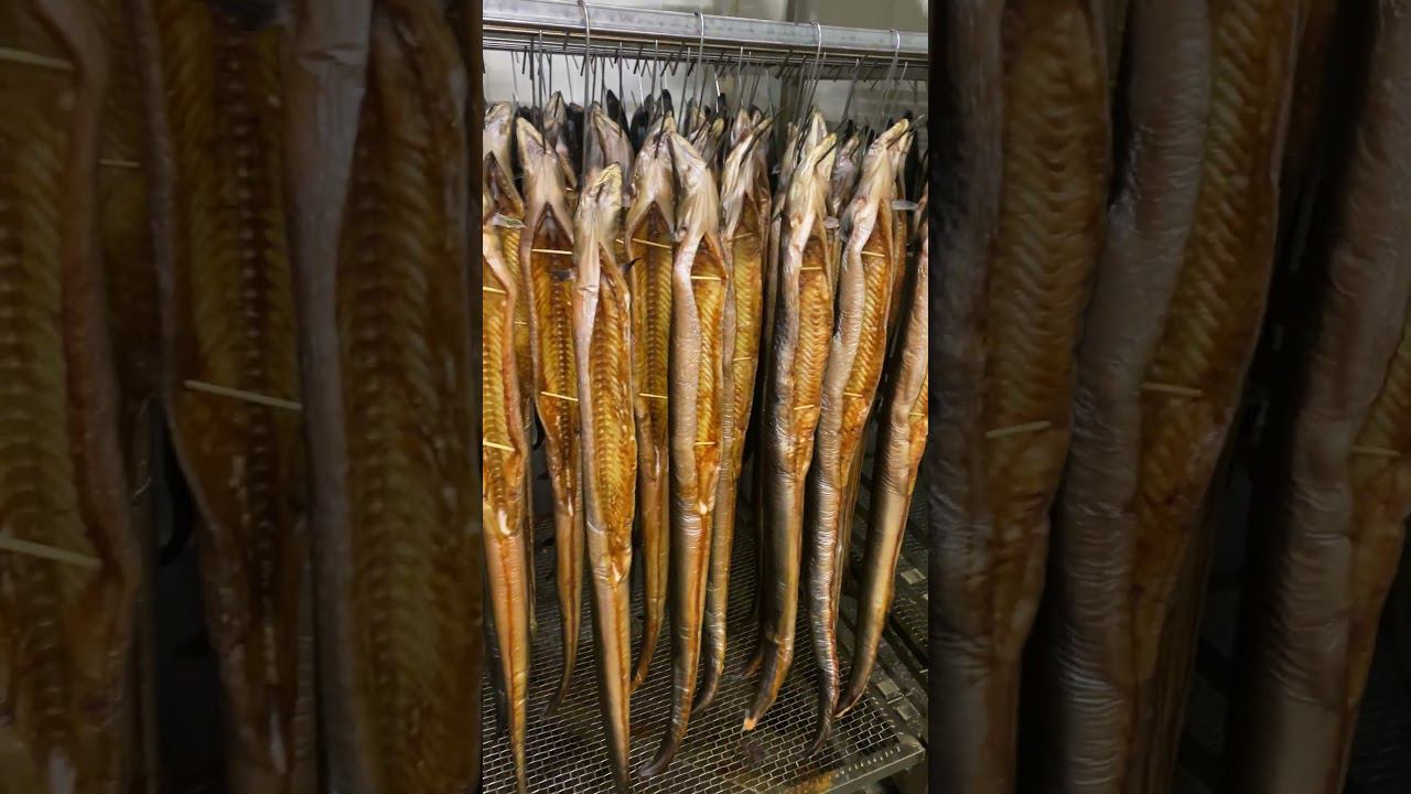 Балтийский угорь горячего копчения смотреть онлайн