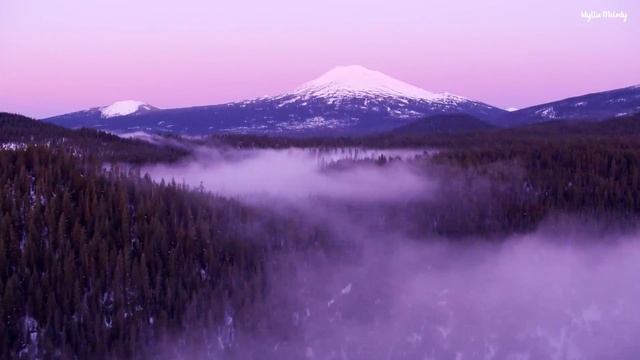 Música Sanadora | Alinea Los Chakras Y Elimina Los Pensamientos Negativos | Hermosa Naturaleza
