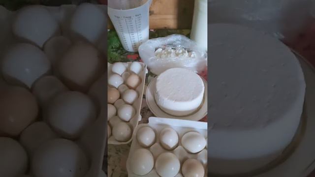 Если утро так начинается значит всё Отлично!!! смотреть онлайн