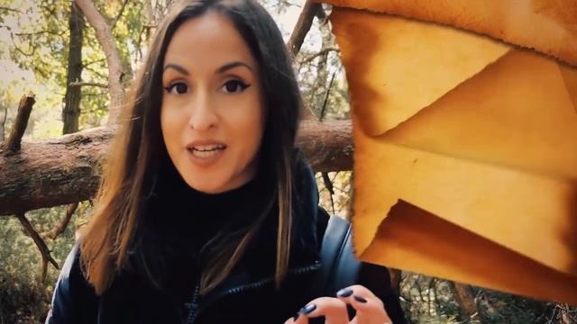 À LA RECHERCHE D'UNE LEGENDE PERDUE ! смотреть онлайн