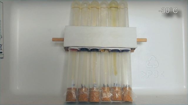 Olej 5W30 A5/B5 Test Zimna -30°C Motul 5W30, Amsoil 5W30, Mobil 5W30, Liqui Moly 5W30 смотреть онлайн
